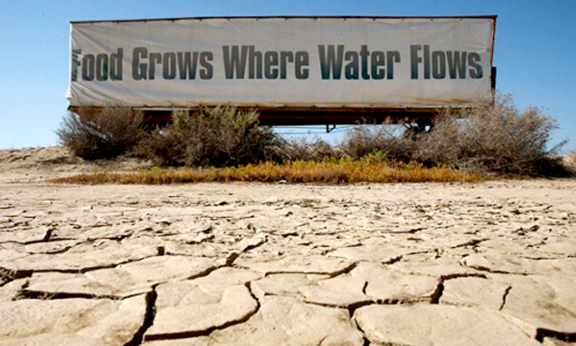 ludicrously-pricey-veggies-blame-the-worst-drought-in-california