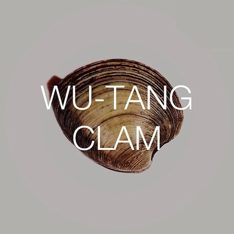 Wu-Tang-Clam 2