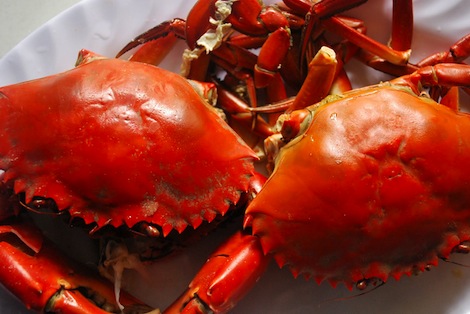 serpico_crabs