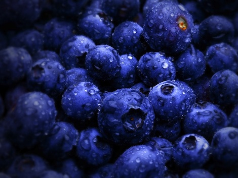 blueberry-1920x1440