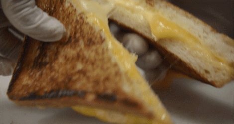 Image result for Grilled cheese sandwiches gif