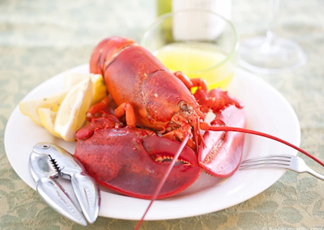 How_to_cook_live_lobsters