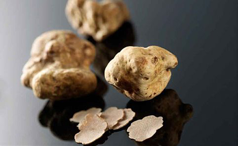white-truffle