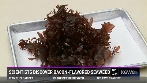 bacon seaweed small