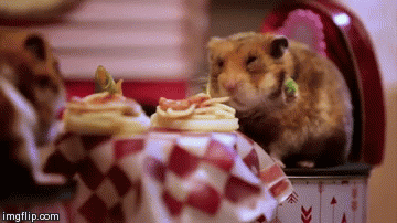 Watch Tiny Hamsters Go On a Tiny Date and Eat Tiny Spaghetti | First We  Feast